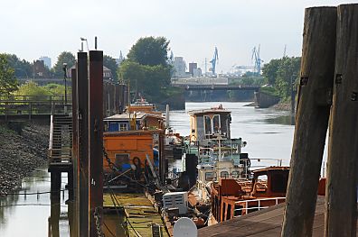 011_15745 - Blick zum Kltjenfelder Hauptdeich und zum Potsdammer Ufer - im Hintergrund Krane vom Hafengebiet am Reiherstieg. 