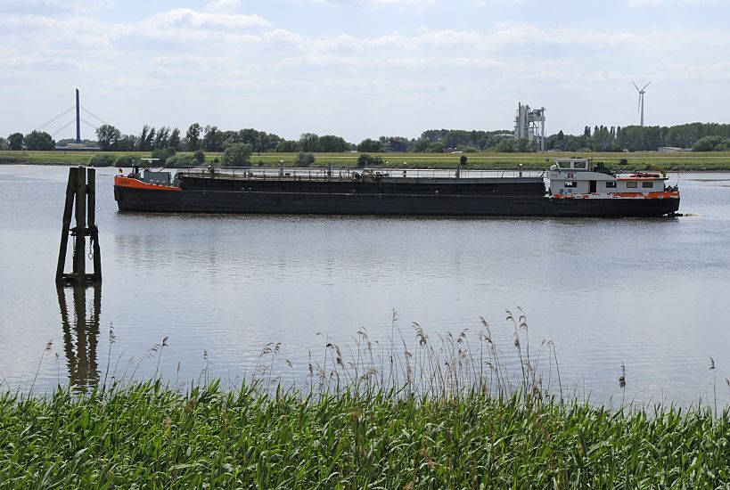 11_17525 Das Binnenschiff ALBATROS fhrt auf der Alten Doveelbe in Hhe vom  Moorfleeter Deich; eine Duckdalbe aus Holz spiegelt sich im Wasser, im Vordergrund Schilf am Ufer. Das Binnenschiff ALBATROS hat eine Lnge von 80,00m und eine Breite von 9,50m - ca. 1400 to kann das Motorschiff als Ladung aufnehmen. Im Hintergrund links ein Polygon der Autobahnbrcke A 1 ber die Norderelbe; recht ein hohes Windrad, das bei Hamburg - Georgswerder steht.