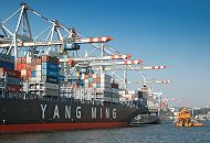 11_11_7151 Hochbetrieb am Europakai des Container Terminals Tollerort; im Vordergrund liegt der Containerriese YM UNITY der chinesischen Reederei YANG MING. Das 335m lange und 43m breite Schiff kann 8200 TEU / Standartcontainer an Bord nehmen. Hinter dem Bug des mit Containern hoch beladenen Schiffs liegt die 2001 gebaute YM GREEN, die ebenfalls von der YANG MING Reederei betrieben wird. Das 274m lange Schiff kann 5551 Container transportieren. Im Vorhafens arbeitet ein Hafenbagger, der das Hafenbecken auf die notwendige Tiefe bringt. 