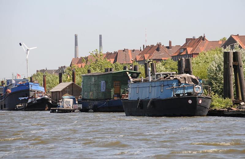 Hamburg Bilder vom Hafen, Kaianlagen und Hafenbecken.Schiffe an den Pontons und Dalben des Spreehafens.  48_9620 Schiffe und Arbeitspontons an den Dalben des Berliner Ufers. Hinter der bewachsenen Uferbschungen ide Dcher der Wohngebude von Hamburg Wilhelmsburg an der Harburger Chaussee.