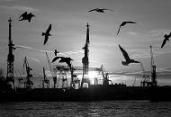 13_x9830 Die Sonne steht niedrig über dem Horizont des Hamburger Hafens - die untergehende Sonne scheint zwischen der Helge und Krananlagen der Werft hindurch. Möwen fliegen über das Wasser der Elbe. 