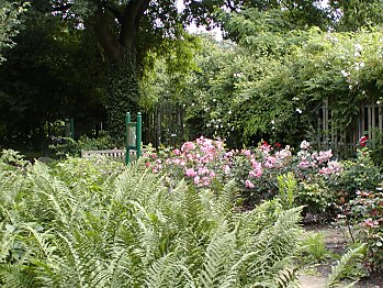 Hamburg Eppendorf Garten Alma de l'Aigle