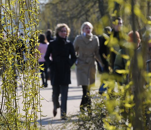 11_17423 |  das zarte Grn der Weide strahlt im Sonnenlicht der Hamburger Frhlingssonne. Da es doch noch recht khl ist, war es ratsam mit Mantel und Schal auf dem Alsterweg zu flanieren