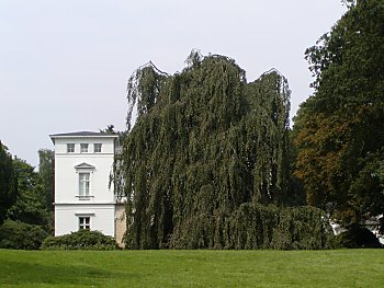 Fotos von Hamburg - Baurs Park / Landhaus