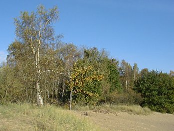 Bilder Hamburg Boberger Dnen / Niederung