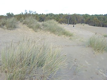 Bilder Hamburg Boberger Dnen / Niederung