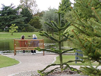 Bilder Hamburg Botanischer Garten Flottbek