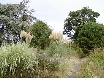 Bilder Hamburg Botanischer Garten Flottbek