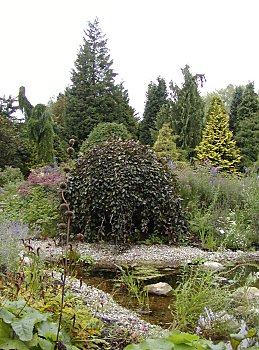 Bilder Hamburg Botanischer Garten Flottbek