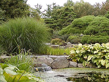 Bilder Hamburg Botanischer Garten Japangarten Flottbek