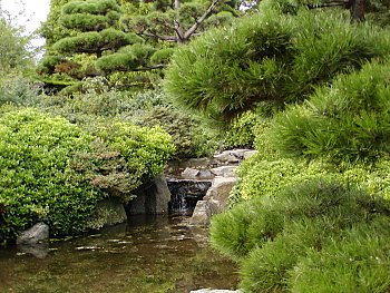 Bilder Hamburg Botanischer Garten Japangarten Flottbek