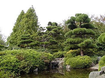 Fotos Hamburg Botanischer Garten Japangarten Klein Flottbek