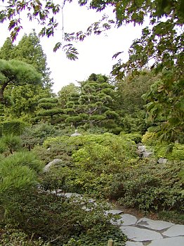 Fotos Hamburg Botanischer Garten Japangarten Klein Flottbek