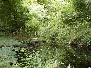 Fotos Hamburg Botanischer Garten