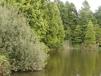 Fotos Hamburg Botanischer Garten