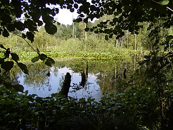 Fotos Hamburg Sehenswrdigkeiten Duvenstedter Brook