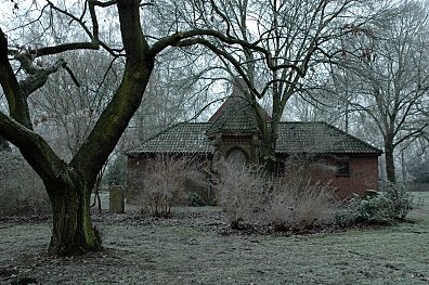 alter Baumbestand auf dem ehem. Friedhofsgelnde