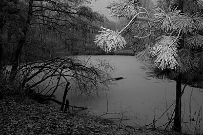 nchtlicher Parkteich mit Raureif.