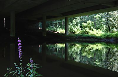 011_15990 - auf der Autobahnbrcke der A 1 braust der Autoverkehr, whrend darunter die Glinder Au Richtung Bille fliesst. 