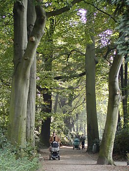 Bilder von Hamburg Hammer Park