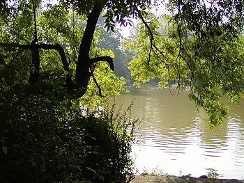 Bilder von Hamburg - Hammer Park