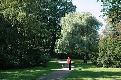 011_1500 -  ein Spaziergnger mit Hund auf dem Weg im Heine Park.