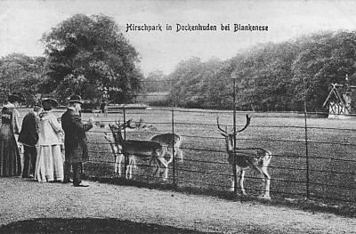 011_14896 - die Gartenanlage vom Hirschpark entstand um 1792 durch den Hamburger Kaufmann Godeffroy dessen Landsitz dort war; im 19. Jh. wurde das Freigehege fr Damwild angelegt, nach dem die Parkanlage bei Hamburg Blankenese ihren Namen bekommen hat. 