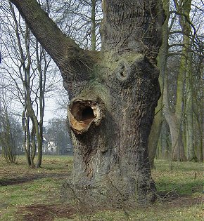 Hamburg Jenischpark