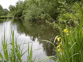 Hamburg Jenischpark