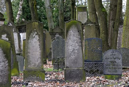 11_17438 - verwitterte Grabsteine auf dem jdischen Friedhof in Hamburg Langenfelde / Frsterstrasse.