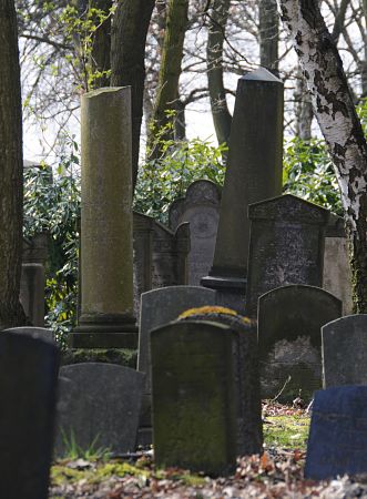 11_17439 - Grabsteine und eine abge- brochene Stele inmitten des Baumbestandes auf dem Friedhof. 