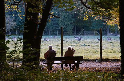 011_15947 - zwei Rentner sitzen auf einer Parkbank in der Herbstsonne und beobachten das Damwild im eingezunten Wildgehege.