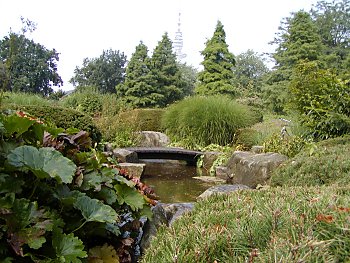 Fotos Hamburg Planten un Blomen  Japanischer Garten