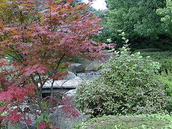 Fotos Hamburg Planten un Blomen  Japanischer Garten