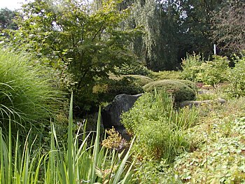 Fotos Hamburg Planten un Blomen  Japanischer Garten