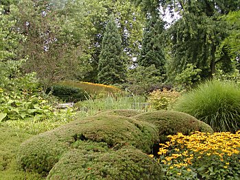 Fotos Hamburg Planten un Blomen  Japanischer Garten