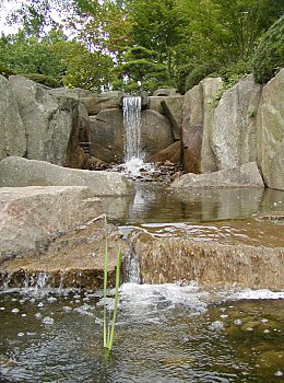 Fotos Hamburg Planten un Blomen  Japanischer Garten