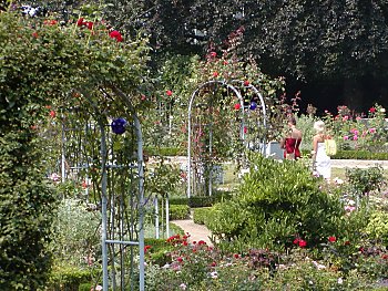 Fotos Hamburg Planten un Blomen  Rosengarten