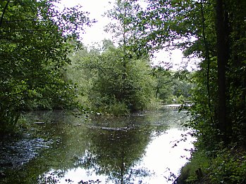 Bilder Hamburg Langenhorn Raakmoor