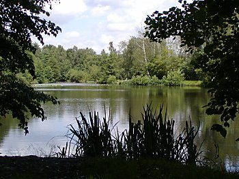 Bilder Hamburg Langenhorn Raakmoor