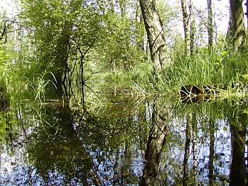 Bilder Hamburg Langenhorn Raakmoor