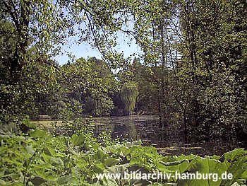 Fotos Hamburg Stadtpark Ententeich