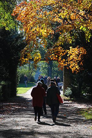 011_15799 - Sonntag Nachmittag im Stadtpark in Hamburg Winterhude; die Bltter der Bume erstrahlen in der Sonne in ihren Herbstfarben.