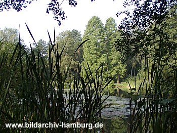 Fotos Hamburg Stadtpark Ententeich