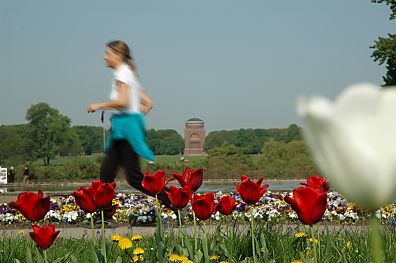 011_14024 - Tulpenblte im Stadtpark; eine Joggerin dreht ihre Runden.