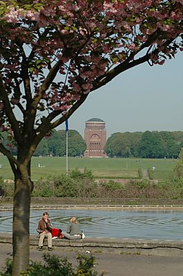 011_14036 - Ruhepause am Modellbootbecken; im Vordergrund eine blhender japanischer Kirschbaum.