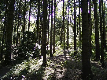 Bild Hamburg Volkspark Altona