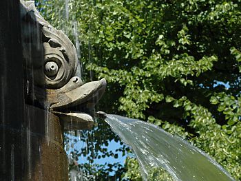 011_14598 -  Fischmaul, Wasserspeier; Brunnenwasser, Wasserstrahl. 