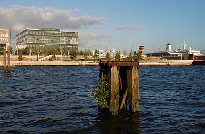 011_15764 - Blick vom Dalmannkai ber den Grasbrookhafen zu den Marco Polo Terrassen. 