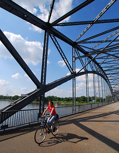 011_15705 - Blick durch die Eisentrger der Elbbrcke auf die Sderelbe. 